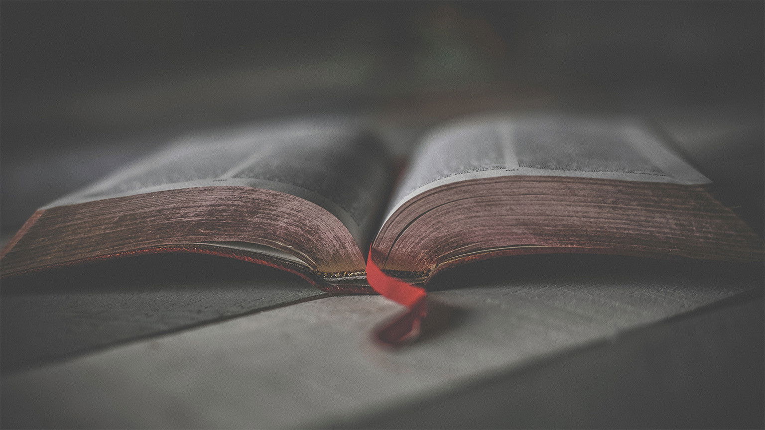 Sprookje 'The School for Good and Evil' komt naar Netflix als film