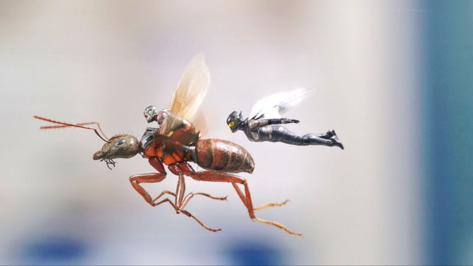 Cast en crew van 'Indiana Jones 5' en 'Ant-Man 3' getroffen door Norovirus