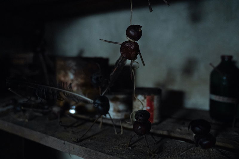 Afbeelding via Netflix / Tine Harden