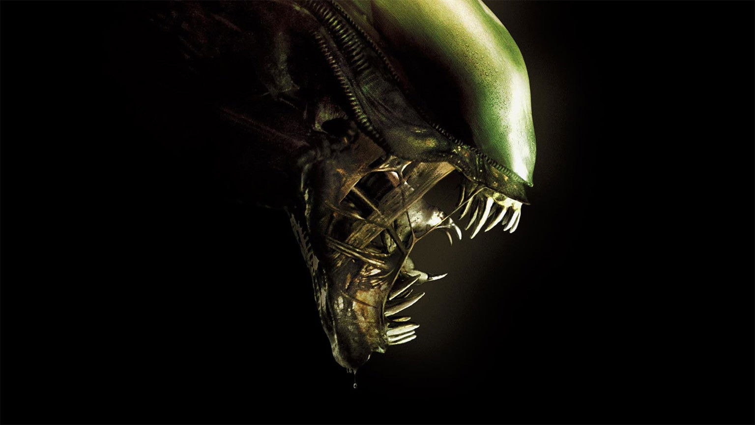 Vanavond op tv: sciencefictionklassieker 'Alien' van Ridley Scott