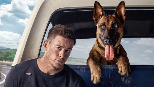 Channing Tatum maakt een roadtrip met hond Lulu in eerste trailer van 'Dog'