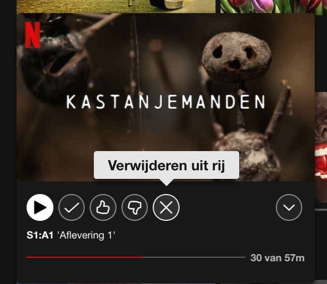 Schermafbeelding Netflix