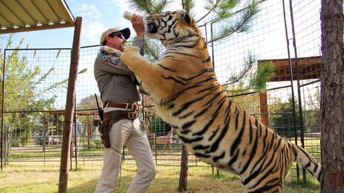 Producenten 'Tiger King' aangeklaagd door makers 'Ace Ventura: When Nature Calls'