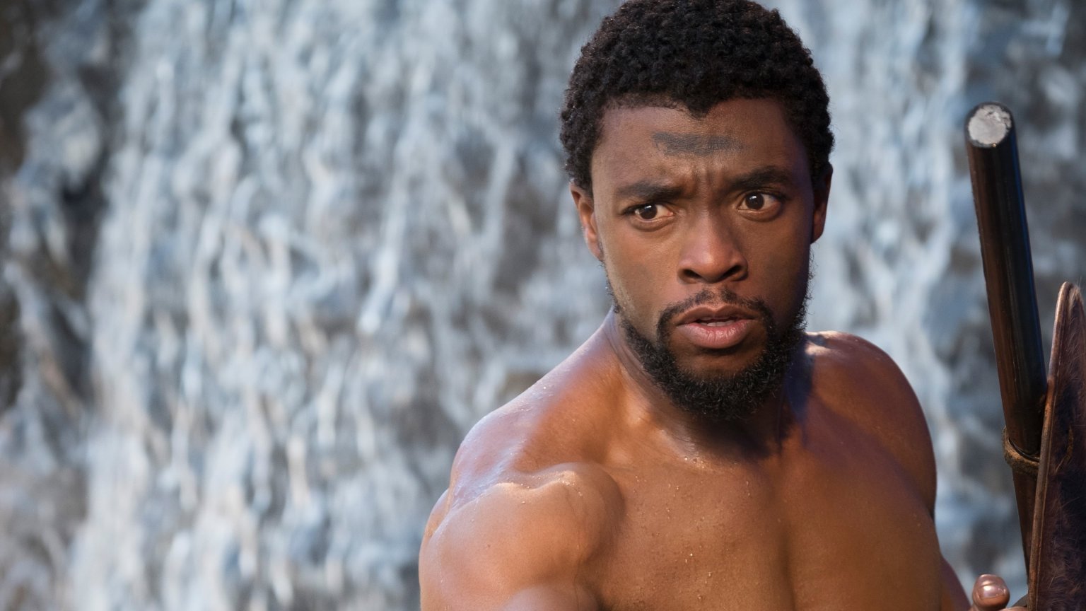 'Black Panther'-fans vragen makers middels petitie nieuwe T'Challa te zoeken na overlijden Chadwick Boseman