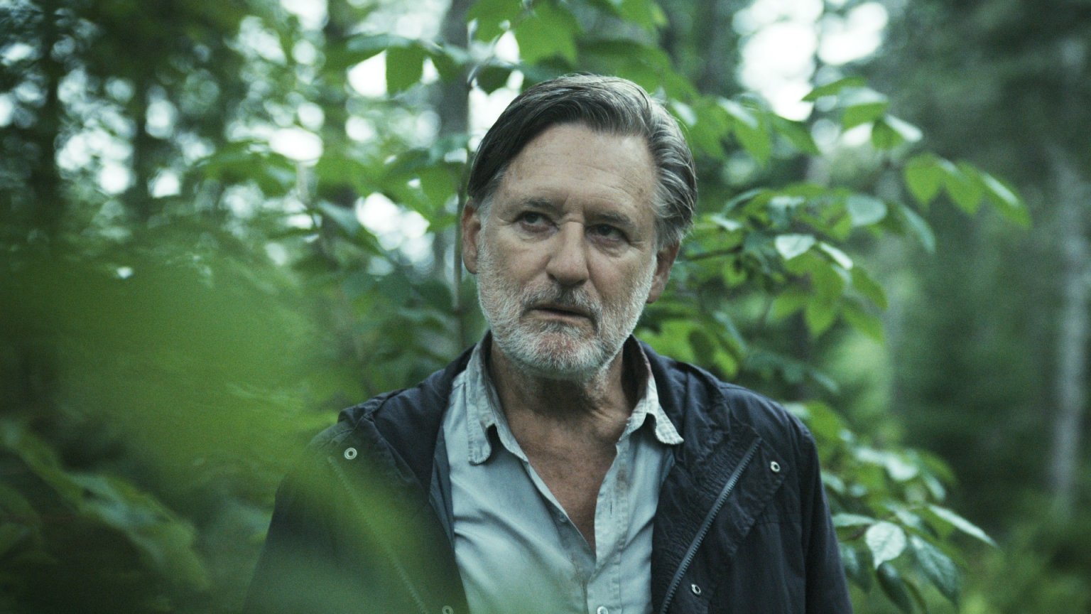 Komt er een seizoen 5 van 'The Sinner'?