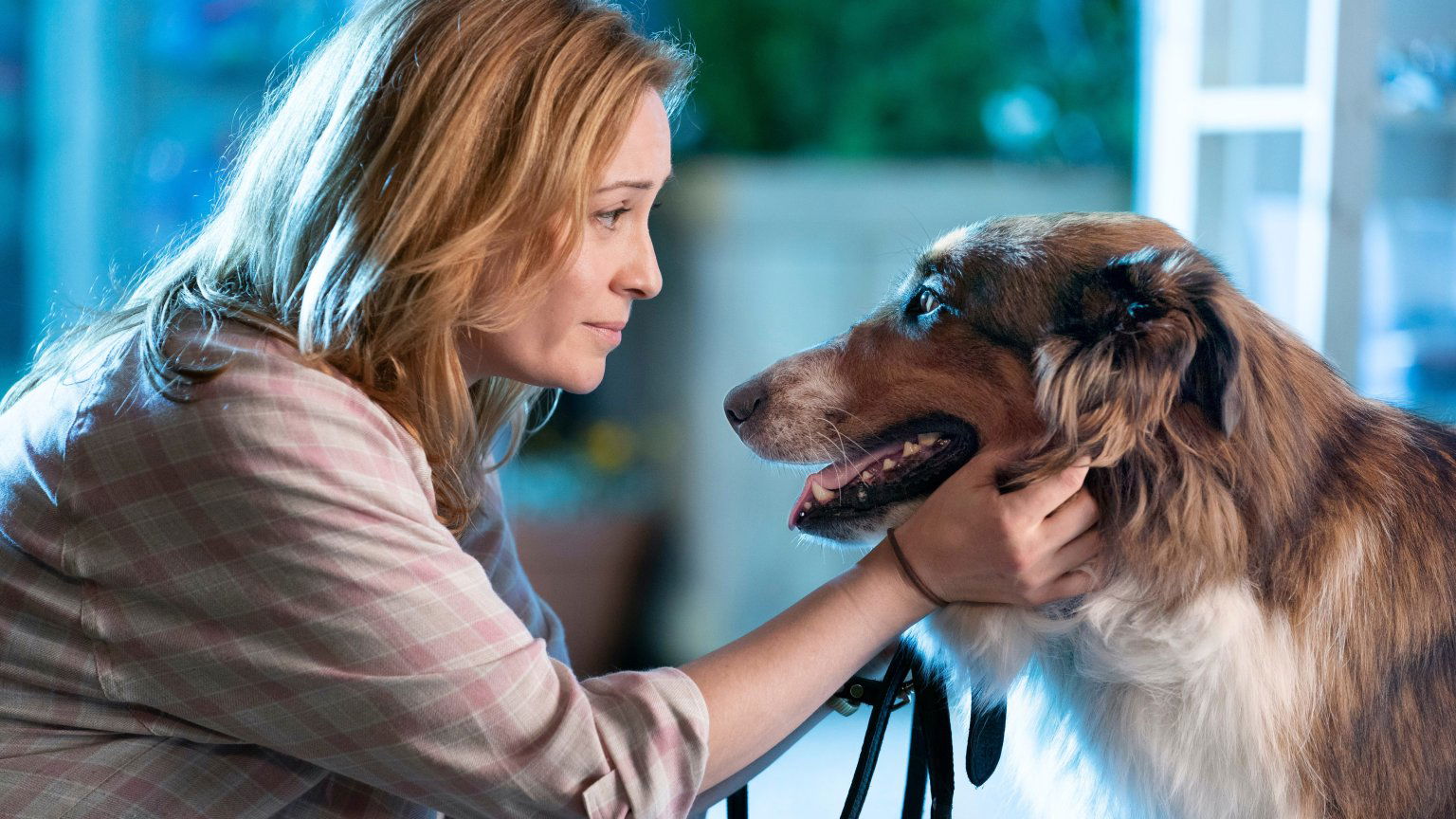 Pup Ruby gaat bij de politie in de trailer van waargebeurde Netflix-film 'Rescued by Ruby'