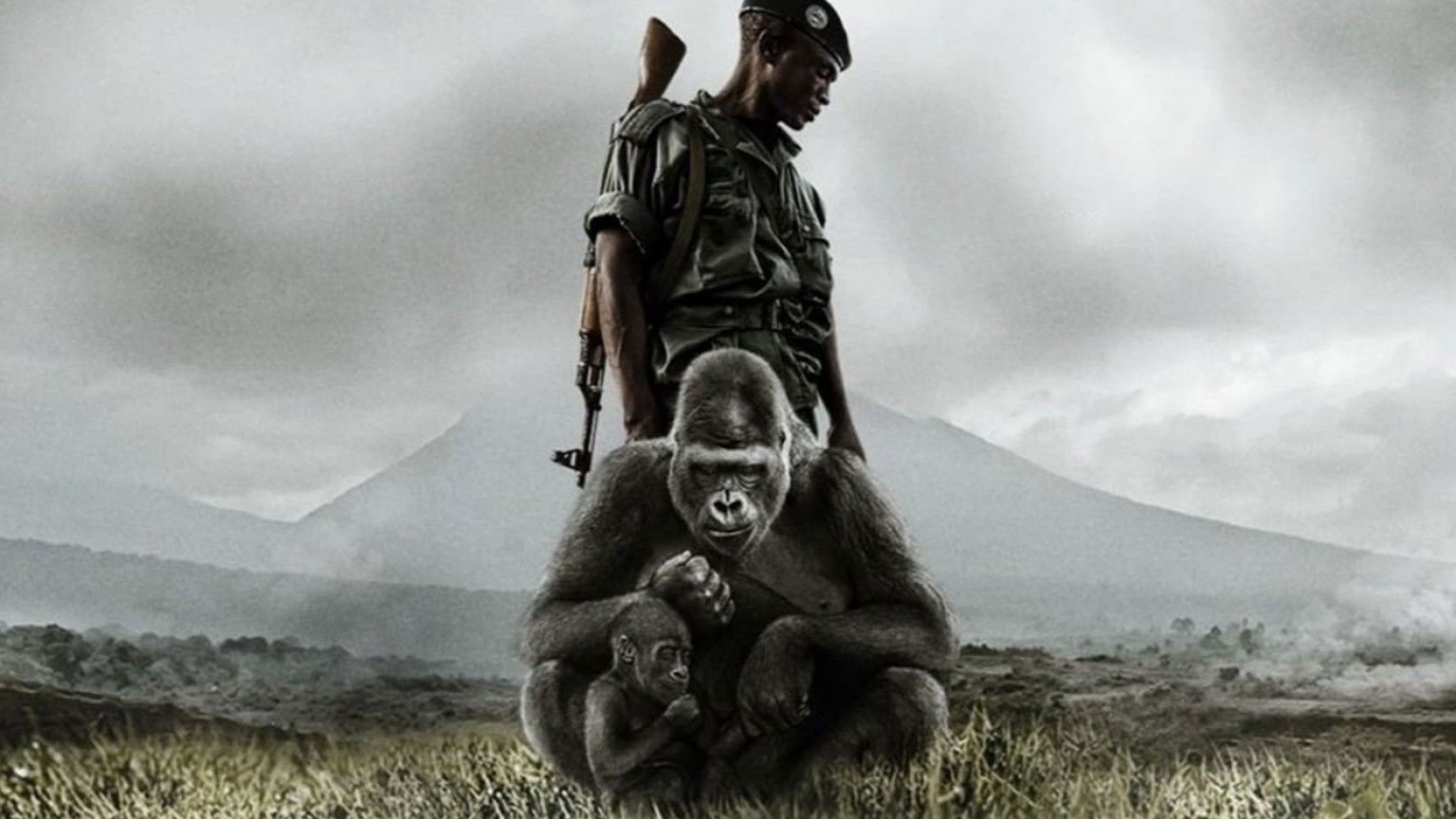 Virunga film 2014 kopen op dvd of blu ray FilmVandaag.nl