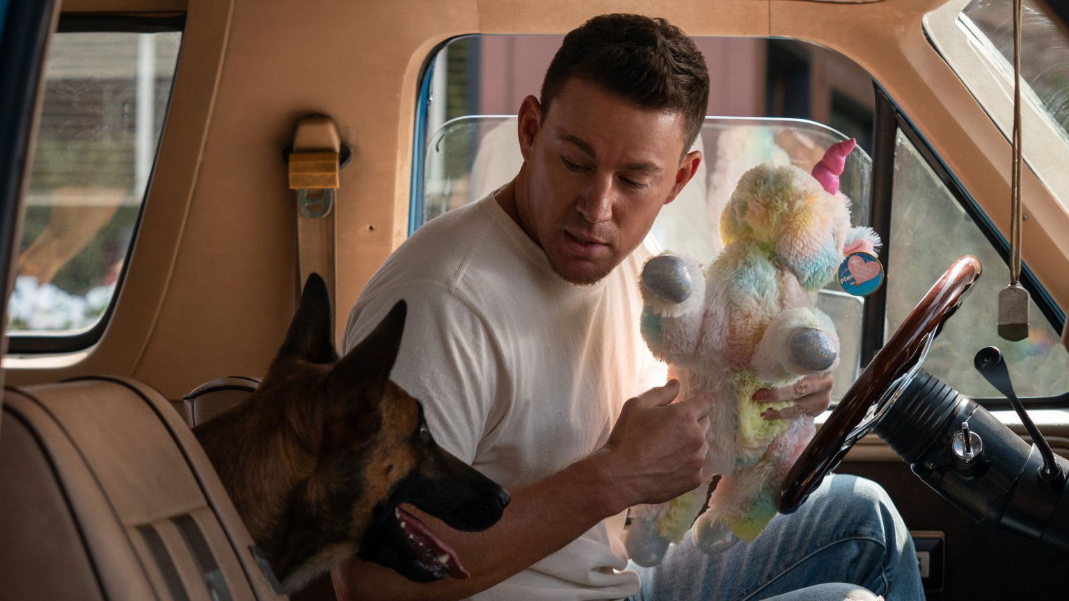 De top 10 populairste films nu in de bioscoop