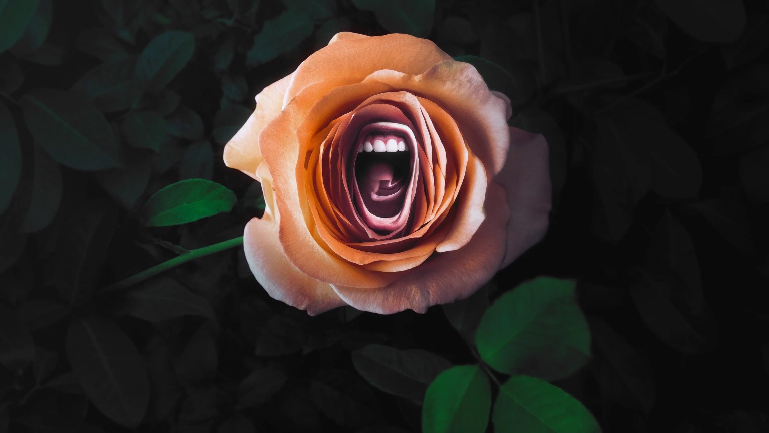 Apple neemt ons mee achter de schermen bij 'Roar' met Nicole Kidman