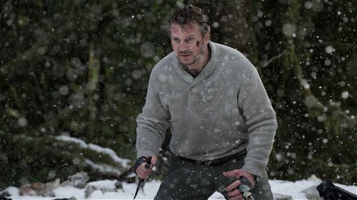 Vanavond op tv: Liam Neeson in actiethriller 'The Grey'