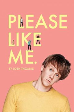 Please Like Me (2013&#8209;2016)