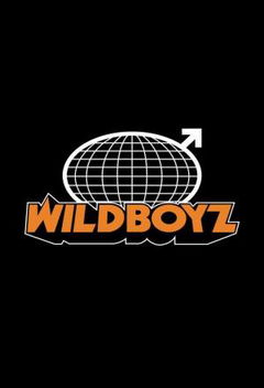 Wildboyz (2003&#8209;2006)