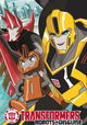 Transformers: Robots In Disguise