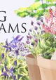 Big Dreams Small Spaces