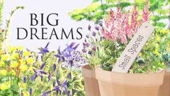 Big Dreams Small Spaces (2014&#8209;2017)