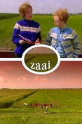 Zaai