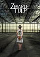 Zwarte Tulp