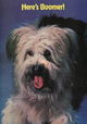 Here's Boomer