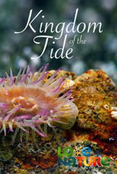 New Kids in the Wild (2020)