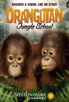 Orangutan Jungle School (2018&#8209;&nbsp;)
