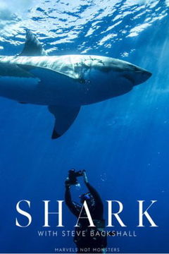 Shark with Steve Backshall (2021)