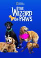 The Wizard of Paws