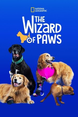 The Wizard of Paws (2020‑ )