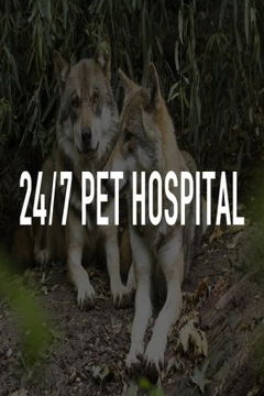 24/7 Pet Hospital (2023‑ )
