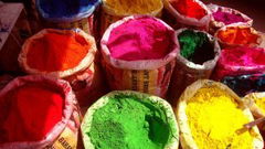 Holi (2023)