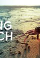 The Living Beach