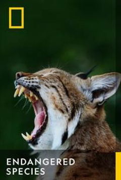 Endangered Species