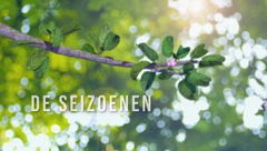 De Seizoenen (2023)