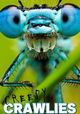Creepy Crawlies