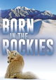 Born in the Rockies