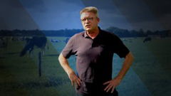 Buiten het Binnenhof