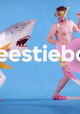 Beestieboys