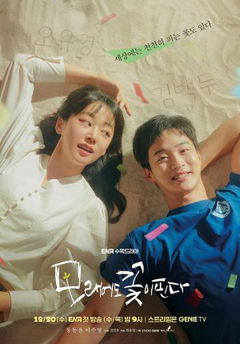 Like Flowers in Sand (2023&#8209;2024)