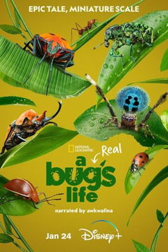 A Real Bug's Life (2024‑ )
