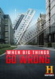 When Big Things Go Wrong