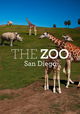 The Zoo: San Diego
