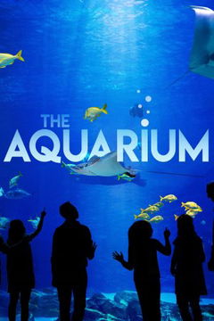 The Aquarium (2019&#8209;2020)