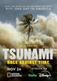 Tsunami: Race Against Time