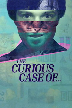 The Curious Case of... (2025&#8209;&nbsp;)