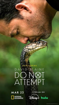 David Blaine: Do Not Attempt (2025&#8209;&nbsp;)