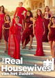 The Real Housewives van het Zuiden