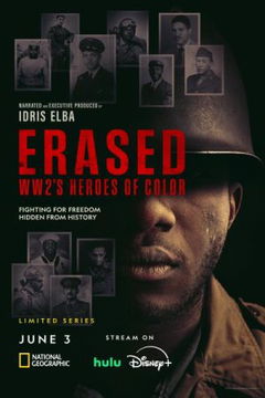 Erased: World War 2's Heroes of Color (2024)