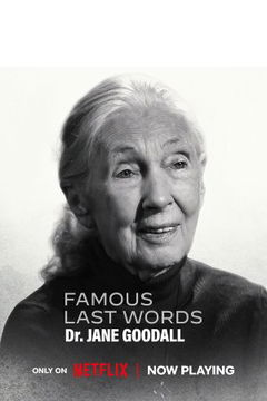 Famous Last Words (2025&#8209;&nbsp;)