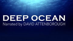 Deep Ocean (2015)