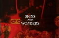 Signs and Wonders (1995)