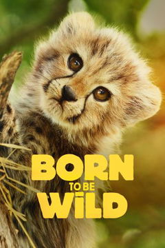 Born to be Wild (2025‑&nbsp;)